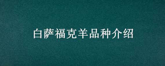 白萨福克羊品种介绍（白萨福克羊品种介绍图片）