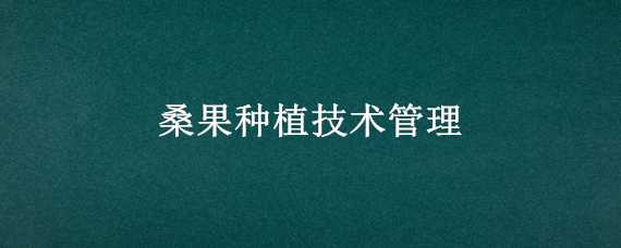 桑果種植技術管理 桑果種植技術管理方案