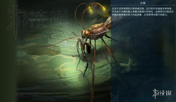 黑暗与光明生物代码图文大全 生物代码是什么 生物代码一览 火龙