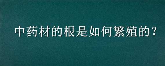 中藥材的根是如何繁殖的（用根繁殖的有什么）