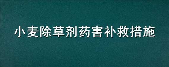 小麥除草劑藥害補(bǔ)救措施（小麥除草劑藥害與解救 非常全面）