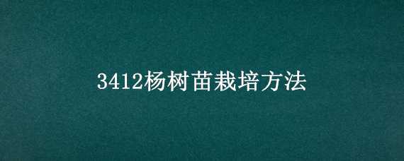 3412杨树苗栽培方法（杨树3412简介）