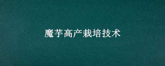 魔芋高产栽培技术（魔芋高产栽培技术要点）