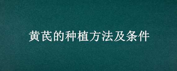 黃芪的種植方法及條件（黃芪的種植方法及條件視頻）