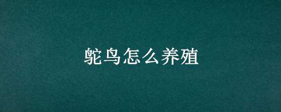 鴕鳥怎么養(yǎng)殖 鴕鳥怎么養(yǎng)殖技術(shù)