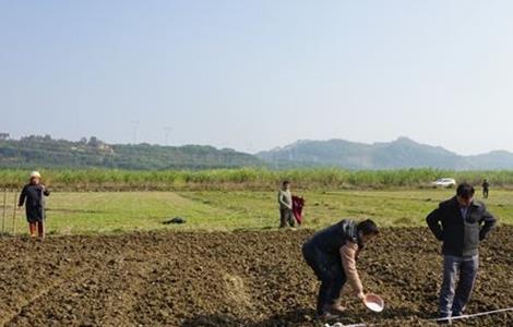 冬小麥種植技術(shù) 冬小麥種植技術(shù)要點(diǎn)