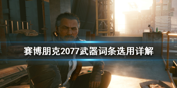 赛博朋克2077武器词条怎么选（赛博朋克2077武器白色词条）