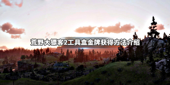 荒野大镖客2工具盒任务怎么做 荒野大镖客2工具箱任务