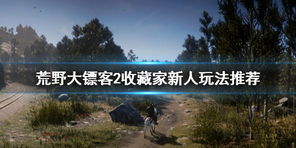 荒野大镖客2收藏家怎么上手（荒野大镖客2收藏家找东西技巧）