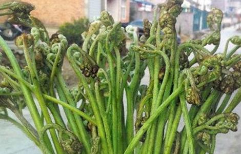 野菜種植 注意事項(xiàng) 野菜