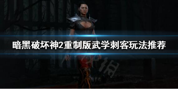 暗黑破坏神2重制版武学刺客怎么玩（单机暗黑2武学刺客）