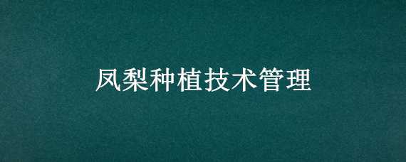 凤梨种植技术管理（凤梨栽培技术）