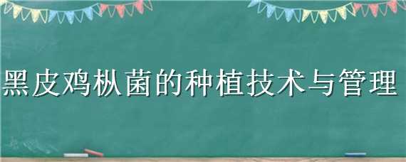 黑皮鸡枞菌怎么种植 黑皮鸡枞菌怎么种植方法