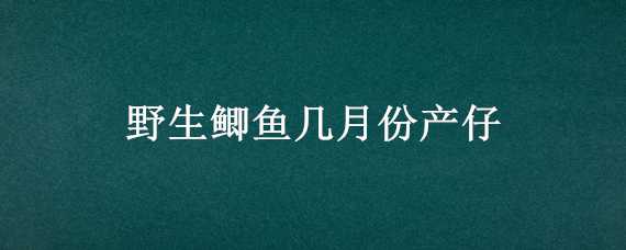 野生鯽魚(yú)幾月份產(chǎn)仔（野生鯽魚(yú)幾月份產(chǎn)仔最多）