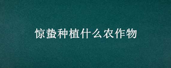 惊蛰种植什么农作物（惊蛰要种什么农作物）