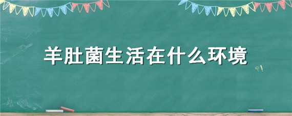 羊肚菌生活在什么环境（羊肚菌生活在什么环境最好）