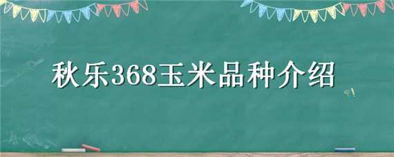 秋乐368玉米品种介绍（秋乐368玉米品种介绍及图片）