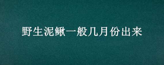 野生泥鳅一般几月份出来 野生泥鳅一般几月份出来吃