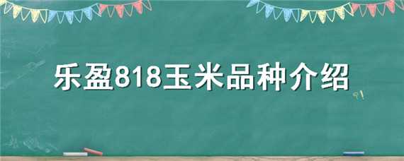 樂盈818玉米品種介紹（樂盈278玉米種子）