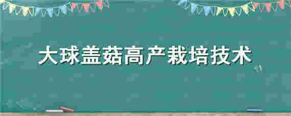 大球盖菇高产栽培技术 大球盖菇高产栽培技术视频