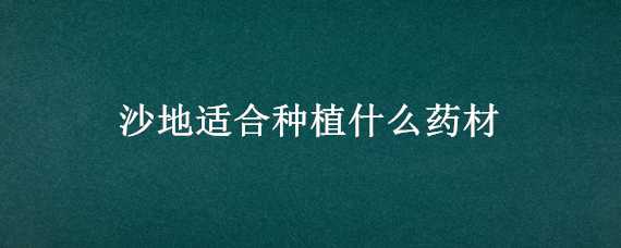 沙地适合种植什么药材（沙地适合种植什么作物）