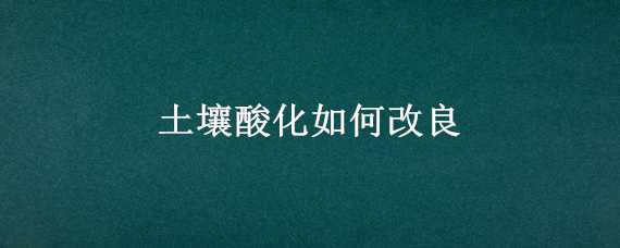 土壤酸化如何改良 土壤酸化如何改良视频在线