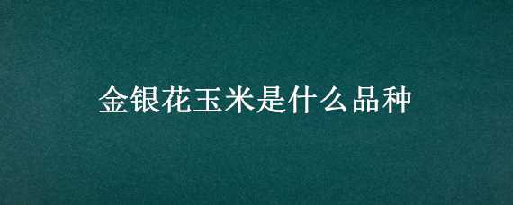 金銀花玉米是什么品種 金銀花玉米圖片