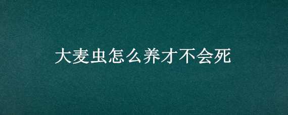 大麥蟲怎么養(yǎng)才不會死（大麥蟲能養(yǎng)多久）