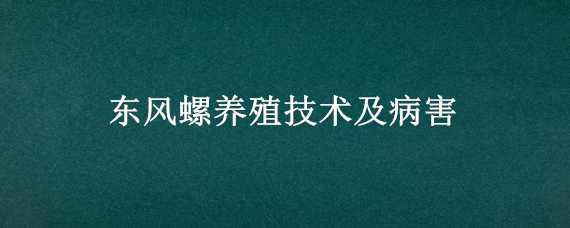 东风螺养殖技术及病害（东风螺的养殖）