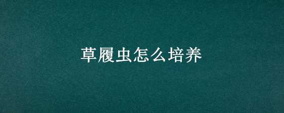 草履虫怎么培养 草履虫怎么培养出来的