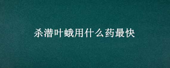 杀潜叶蛾用什么药最快（杀潜叶蛾什么药最好）