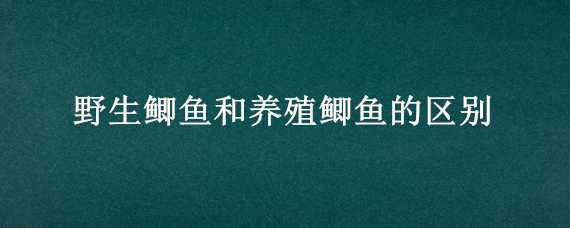 野生鯽魚(yú)和養(yǎng)殖鯽魚(yú)的區(qū)別（野生鯽魚(yú)和養(yǎng)殖鯽魚(yú)的區(qū)別平衡線）