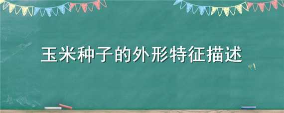 玉米種子的外形特征描述 玉米種子的外形特征描述詞語