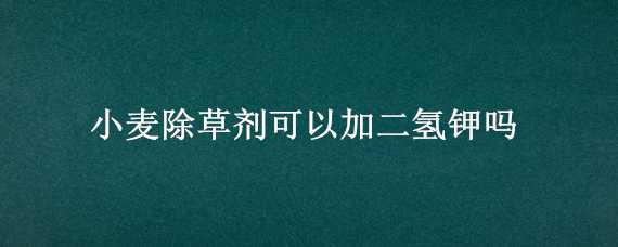 小麦除草剂可以加二氢钾吗（麦田除草剂可以和磷酸二氢钾一起用吗）