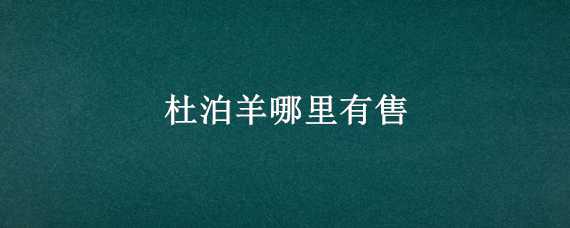 杜泊羊哪里有售 杜泊羊价格