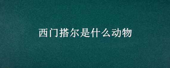 西門搭爾是什么動物 門可羅什么動物