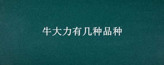 牛大力有几种品种 牛大力有几种品种有多少品种