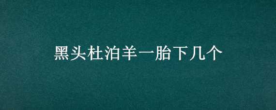 黑头杜泊羊一胎下几个（黑头杜泊绵羊一胎能下几个）