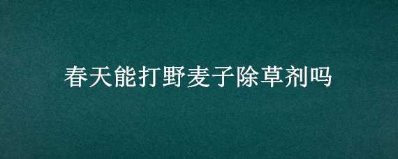 春天能打野麥子除草劑嗎 野麥子用什么除草劑