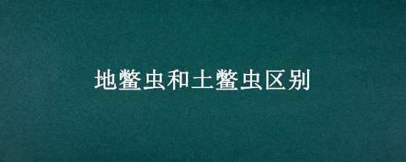 地鱉蟲和土鱉蟲區(qū)別（地鱉蟲和土鱉蟲區(qū)別）