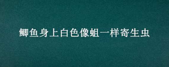 鲫鱼身上白色像蛆一样寄生虫 鲫鱼身上白色像蛆一样寄生虫多吗