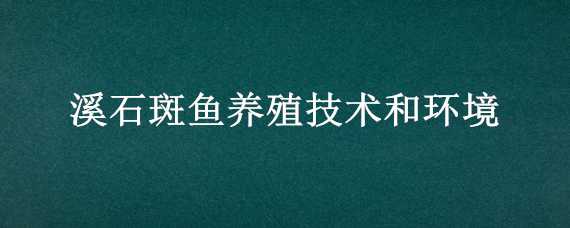 溪石斑鱼养殖技术和环境 溪石斑鱼的养殖技术