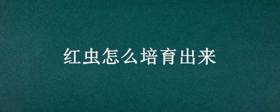 红虫怎么培育出来 红虫培养方法