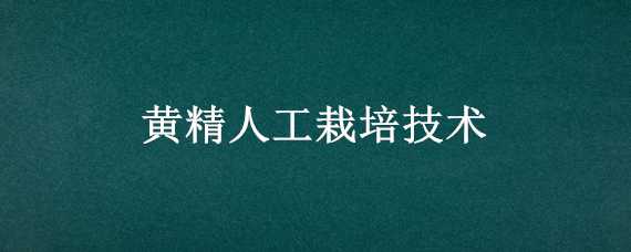 黄精人工栽培技术（黄精人工栽培技术与管理）