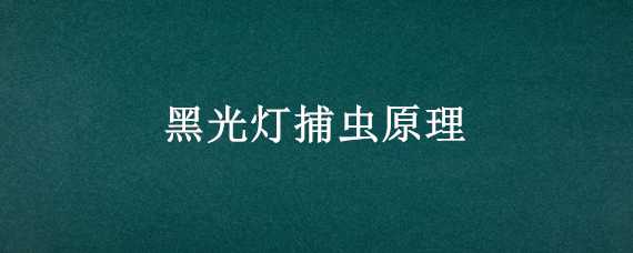 黑光灯捕虫原理（黑光灯捕虫原理图）