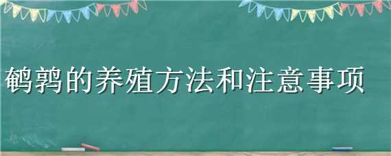 鹌鹑的养殖方法和注意事项 鹌鹑的养殖方法和注意事项有哪些