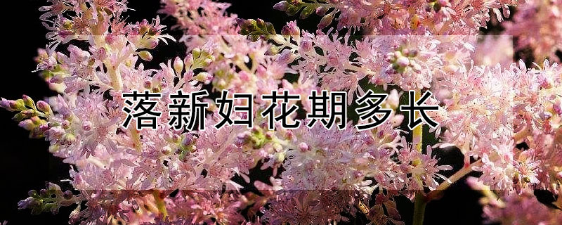 落新妇花期多长（落新妇花期多长时间）