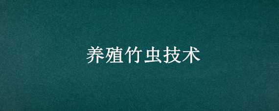 养殖竹虫技术（养殖竹虫技术培训）