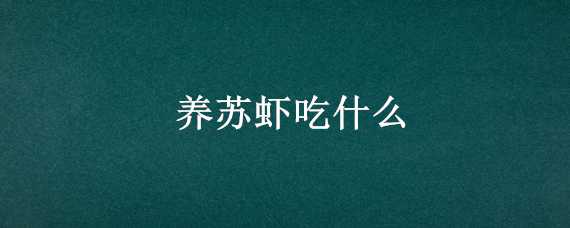 养苏虾吃什么