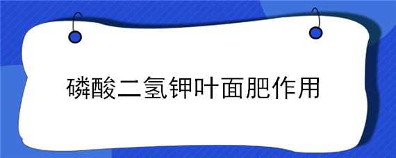 磷酸二氫鉀葉面肥作用（磷酸二氫鉀葉面肥作用和使用方法）